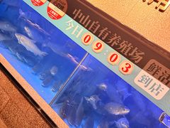 -淘米捞·米汤脆鲩鱼火锅(福田皇岗店)