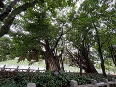 -西湖公园(鼓楼区)