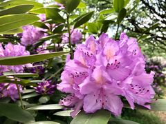 -名花谷生态庄园