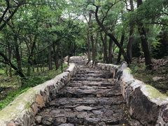 -阳台山自然风景区