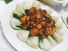 -广玉兰上海菜(德平店)