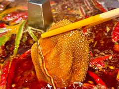 -蜀江龙火锅(339店)