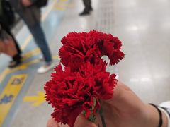 -清水湾·洗浴会所