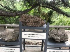 -北京周口店北京人遗址博物馆
