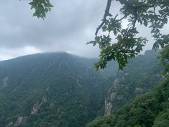 -牛背梁国家森林公园