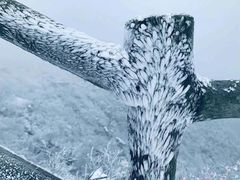 -沂蒙山旅游区云蒙景区(蒙山国家森林公园)