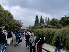 -自贡恐龙博物馆