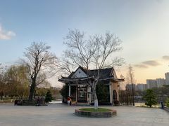 -映月湖公园
