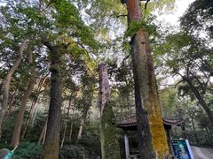 -国生茶庄·地道农家菜团建活动