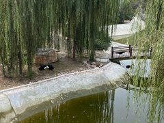 -太原动物园