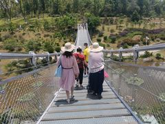 -东莞植物园