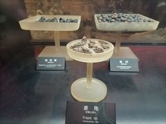 -河姆渡遗址博物馆