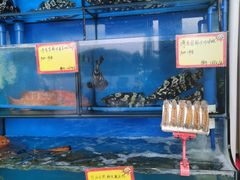 水产区-蚝专家(北滘店)