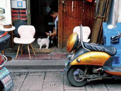 -嵊州特色小吃(萧山街店)