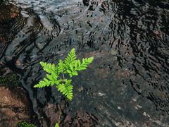 -云岫谷游猎自然风景区
