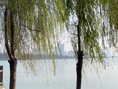 -艾溪湖湿地公园