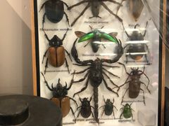 -植物学家的女儿(北马道巷店)