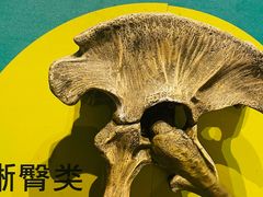 -正佳自然科学博物馆