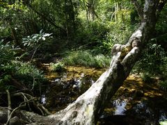 -海南热带雨林国家公园吊罗山景区
