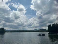 -鲁镇