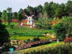 -铁山坪森林公园