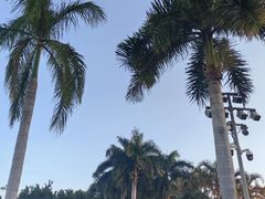-白鹭洲公园