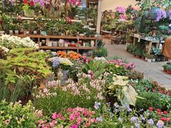 -双季花艺园艺市场(浦东店)