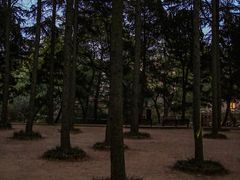 -八大关景区