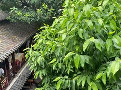 -钦善斋(武侯祠店)