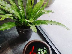 -囿面传统制面馆(中央路店)