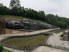 -三水森林公园