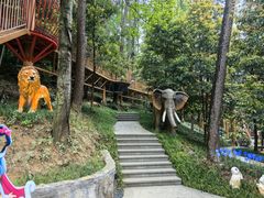 -东明山森林公园