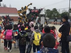 -上海长兴岛郊野公园