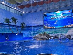-多彩贵州城极地海洋世界