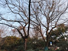 -杭州植物园