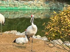 -杭州野生动物世界