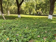 -重庆中央公园(渝北区)