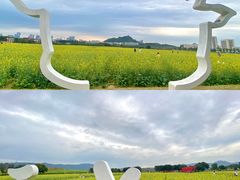 -光明小镇欢乐田园