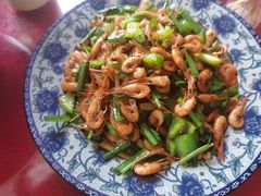 韭菜炒河虾-生态苑农庄(十里画廊遇龙河店)