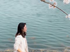 -羊山湖公园