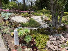 -崇圣寺三塔文化旅游区