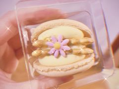 -小汪糕点(楚街北门8店)