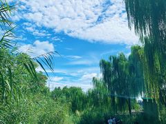 -春风习习