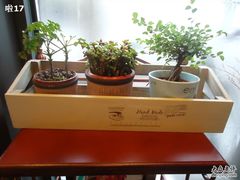 -RUMORS COFFEE ROASTERY鲁马滋咖啡(湖南路店)