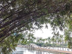 -南宁南湖公园