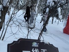 -汤旺河林海奇石景区