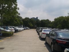 -共青国家森林公园-南大门停车场