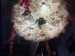 -红牌美蛙鱼头火锅(万辉国际广场店)