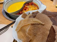 爽脆毛肚-青瓷火锅料理(西单大悦城店)