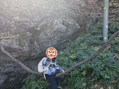 -九曜山